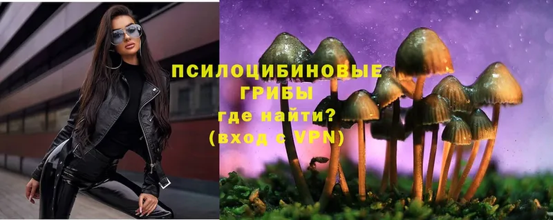 Псилоцибиновые грибы MAGIC MUSHROOMS  shop телеграм  Всеволожск 